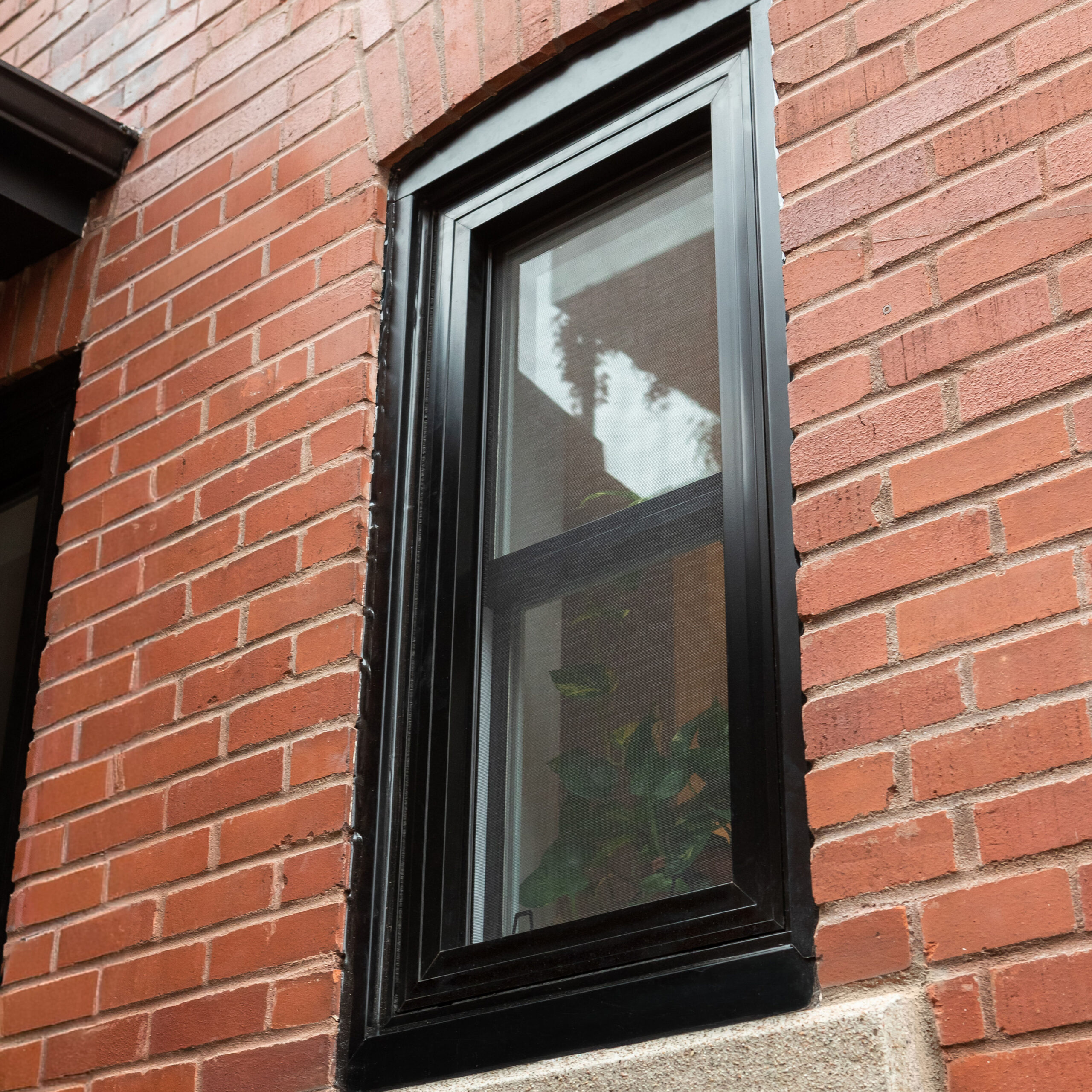 fenêtre à guillotine hybride de style contemporain