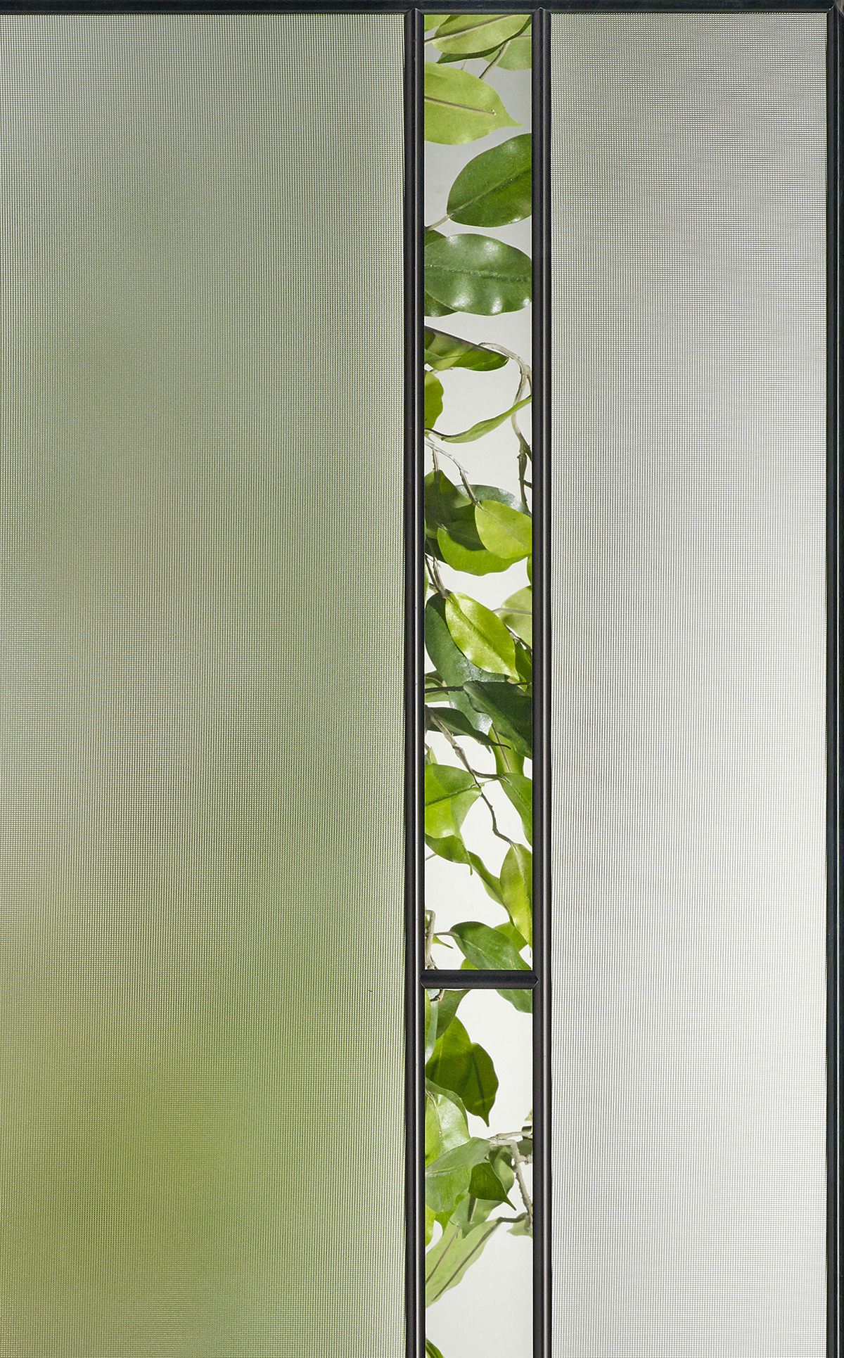 Exterior doors - Naomie